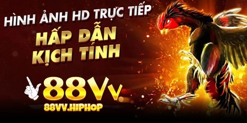 Các loại hình đá gà đặc sắc tại 88vv